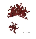 Puzzle 2.webp